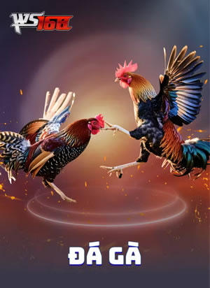 Bàn Chơi 140
